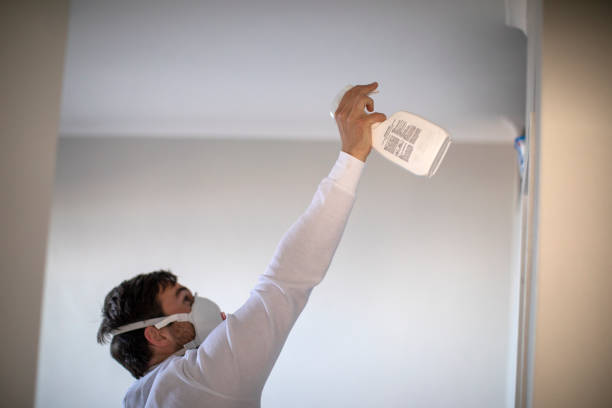 Best Local Mold Removal Service  in Combined Locks, WI