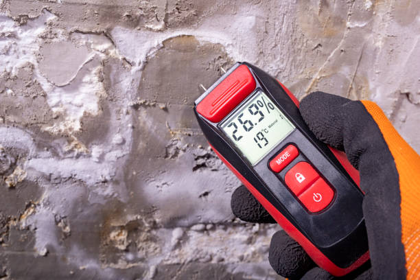Best Affordable Mold Removal  in Combined Locks, WI