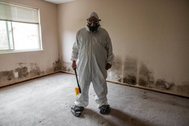 Best Professional Mold Removal  in Combined Locks, WI
