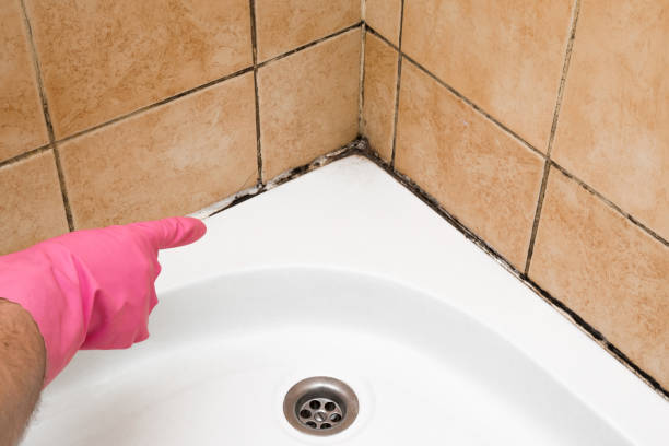 Best Residential Mold Removal  in Combined Locks, WI